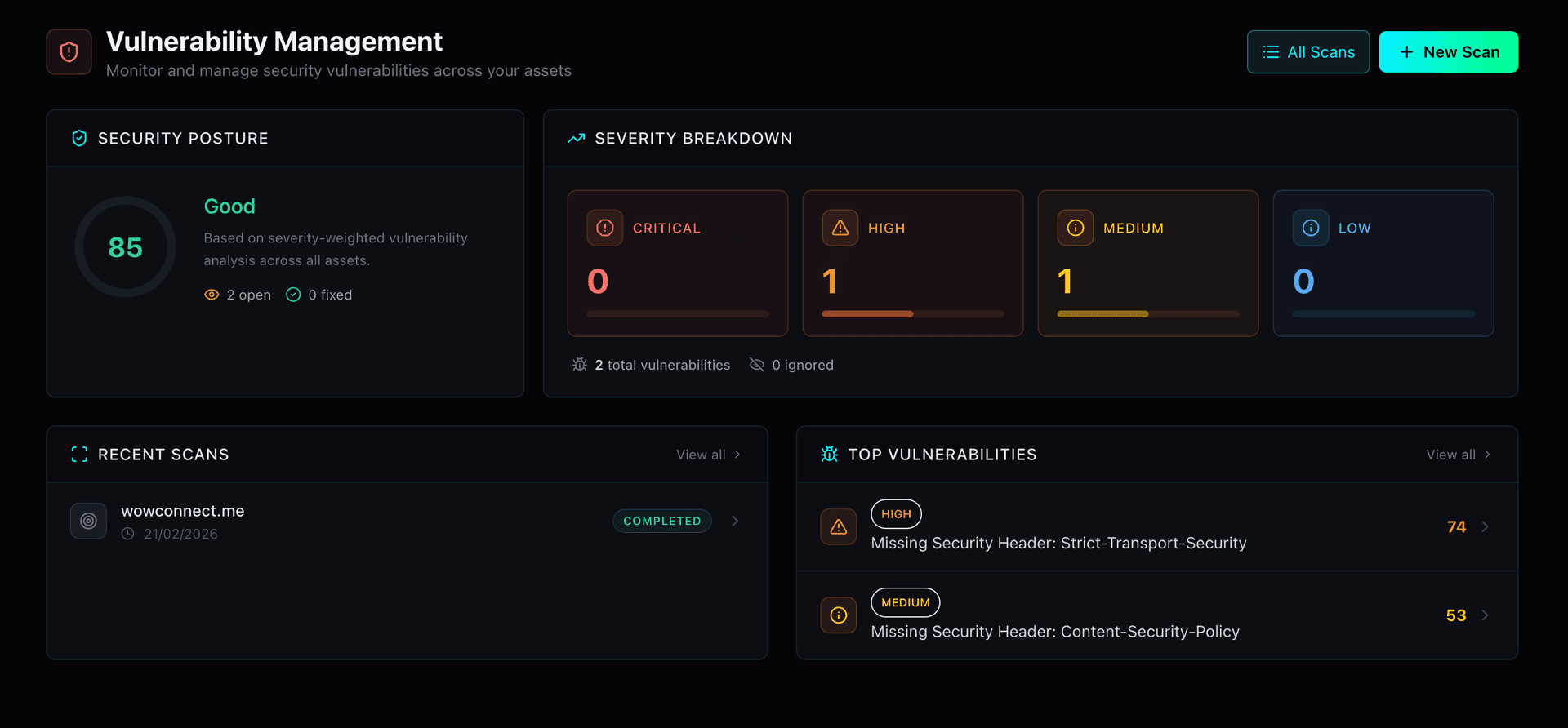 Vulnerability Management